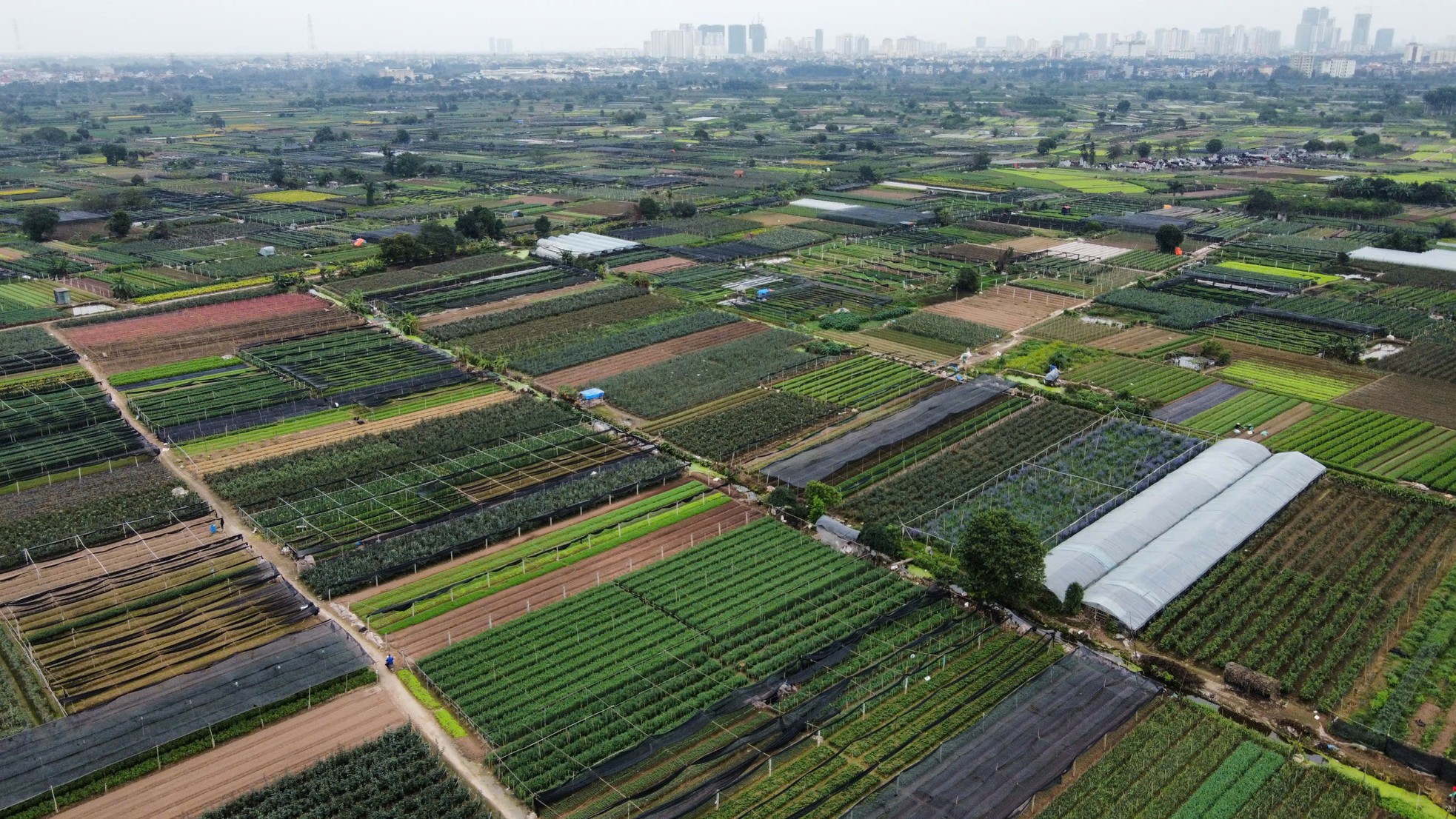 Cận cảnh siêu dự án tỷ đô 'treo' 17 năm, Chủ tịch Hà Nội lệnh khởi công trước ngày 2/9- Ảnh 9.