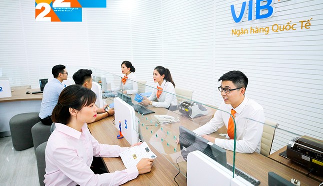 Ai vừa chi hơn ngàn tỷ mua cổ phiếu VIB?- Ảnh 1.