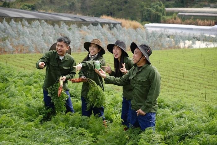 Khán giả đòi cấm sóng 'chị em rọt' Quang Linh, Hằng Du Mục- Ảnh 2.