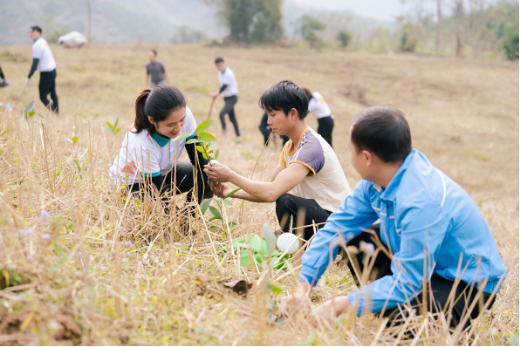 ABBANK hoàn thành mục tiêu tặng 100.000 cây quế cho người dân Yên Bái- Ảnh 2. ABBANK hoàn thành mục tiêu tặng 100.000 cây quế cho người dân Yên Bái- Ảnh 2.