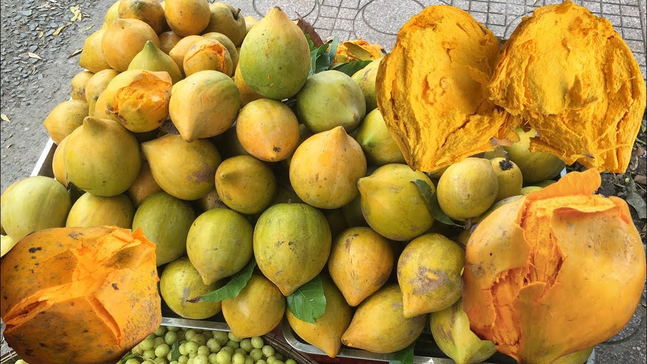 1 loại quả ngọt "bị lãng quên" nhưng giúp hạ đường huyết, bơm máu hiệu quả: Rất sẵn ở Việt Nam- Ảnh 1. 1 loại quả ngọt "bị lãng quên" nhưng giúp hạ đường huyết, bơm máu hiệu quả: Rất sẵn ở Việt Nam- Ảnh 1.