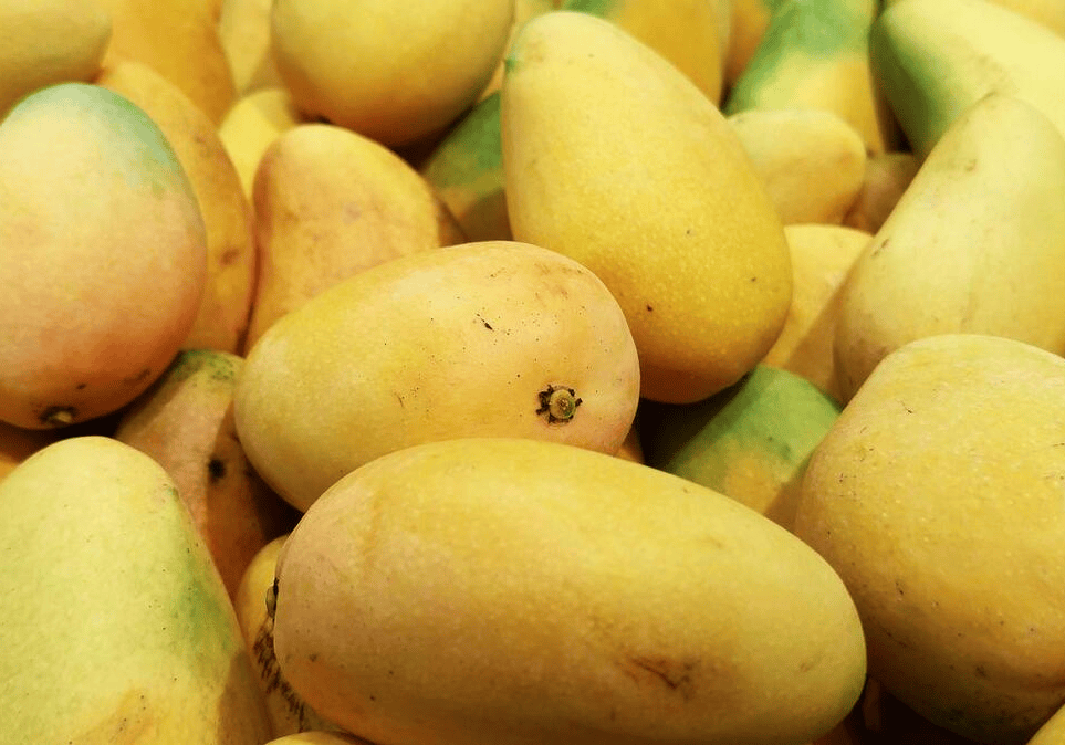 Mua xoài phải biết chọn quả 