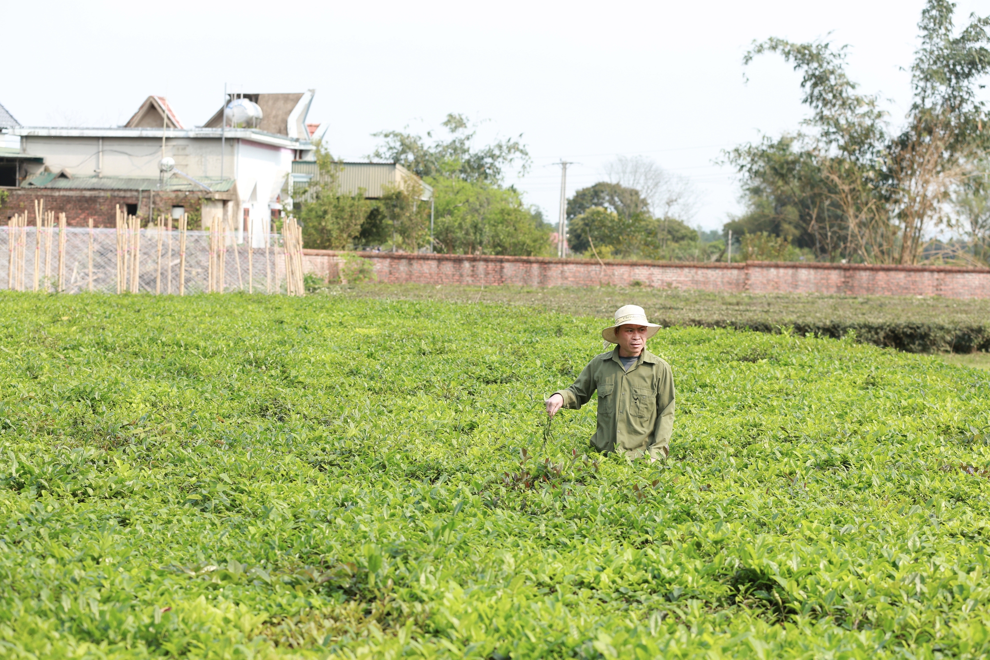 Về Quảng Ninh thăm người cha viết 30 trang "sao kê", bất ngờ với cuộc sống hiện tại của bé Đà- Ảnh 9. Về Quảng Ninh thăm người cha viết 30 trang "sao kê", bất ngờ với cuộc sống hiện tại của bé Đà- Ảnh 9.