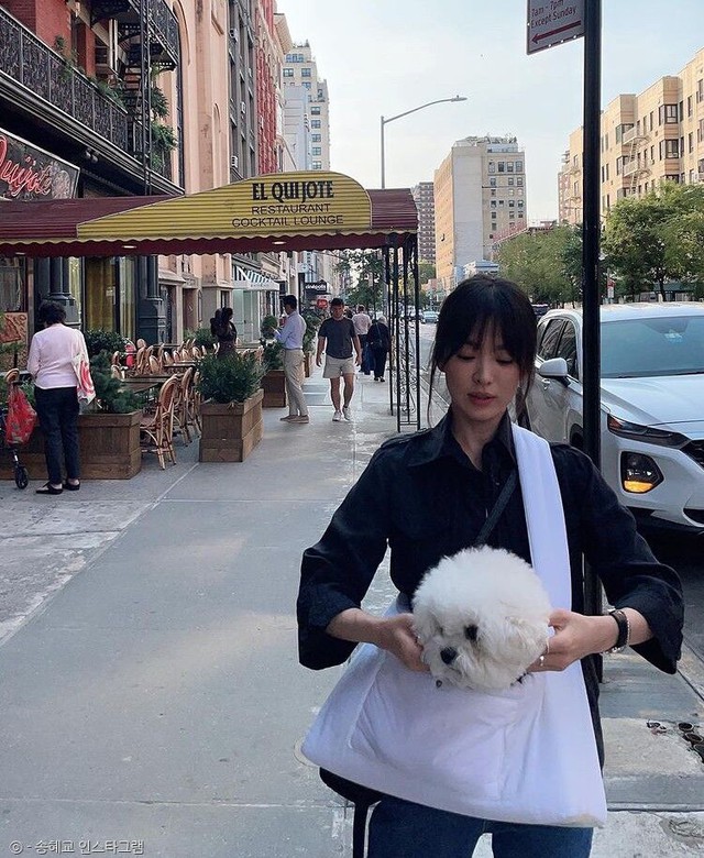 Style đi du lịch chất đến từng bộ của Song Hye Kyo- Ảnh 8.