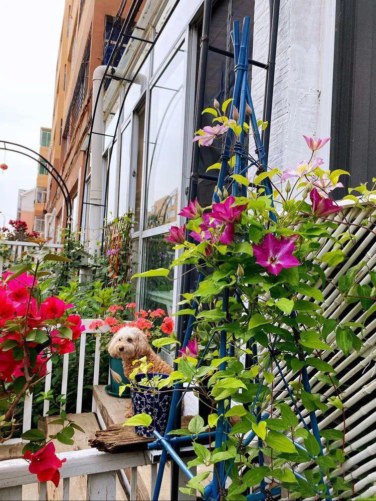 Từ bãi đất trống thành 