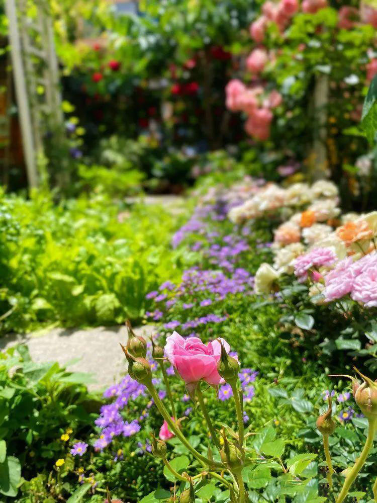 Từ bãi đất trống thành 