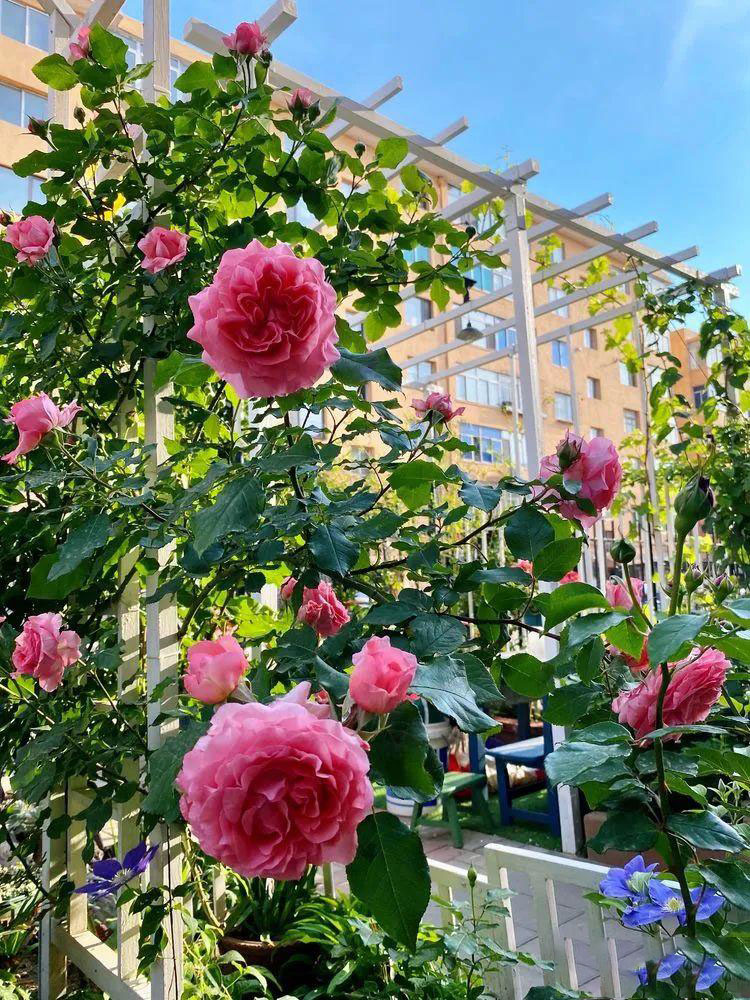 Từ bãi đất trống thành 