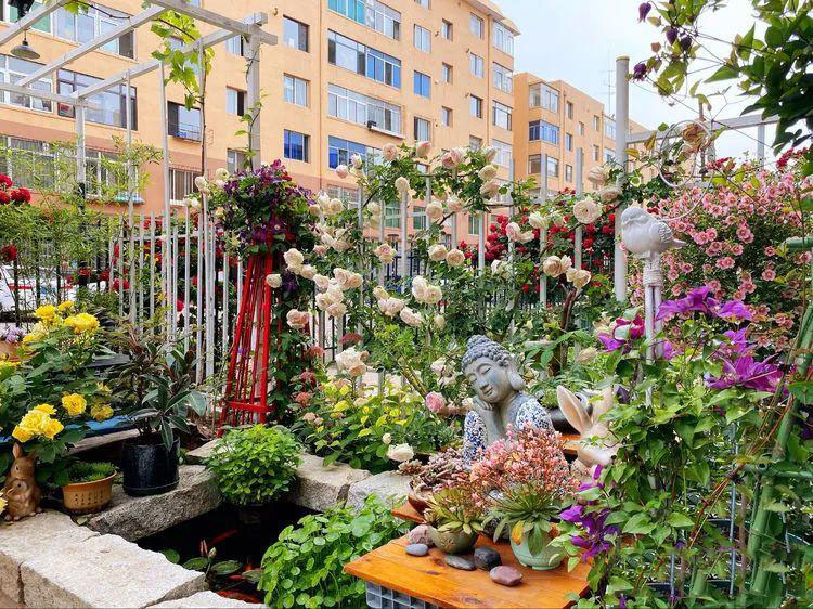 Từ bãi đất trống thành 