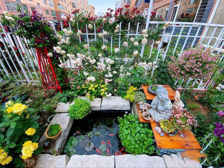 Từ bãi đất trống thành 