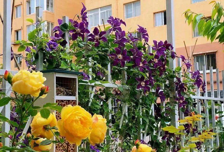 Từ bãi đất trống thành 