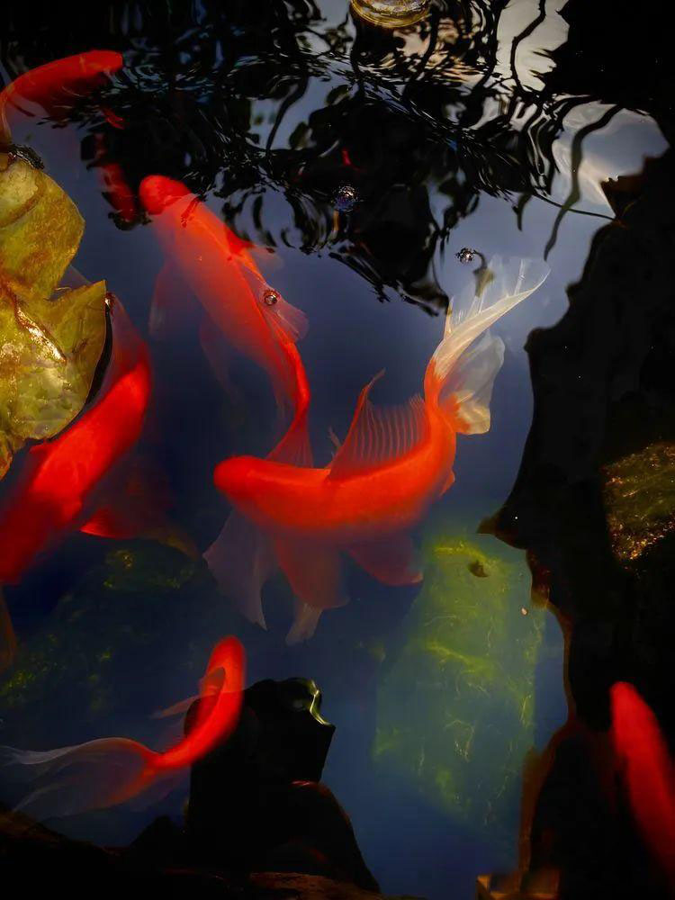 Từ bãi đất trống thành 