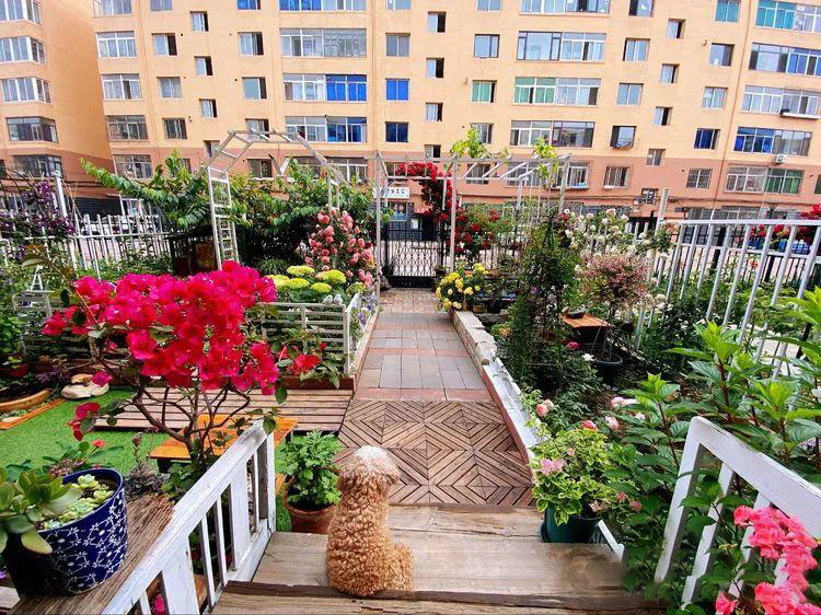 Từ bãi đất trống thành 