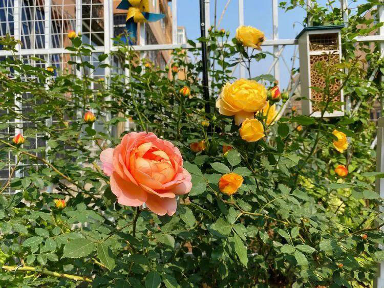 Từ bãi đất trống thành 