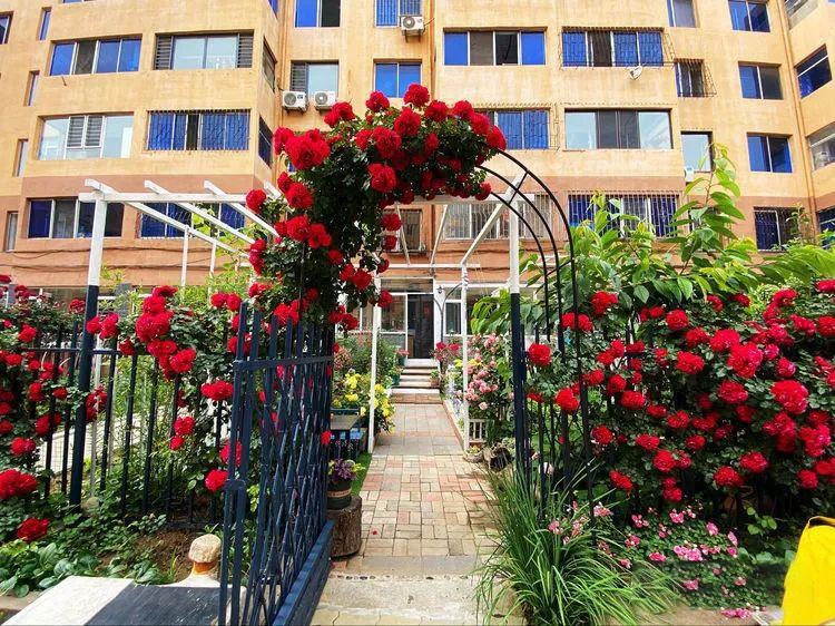 Từ bãi đất trống thành 