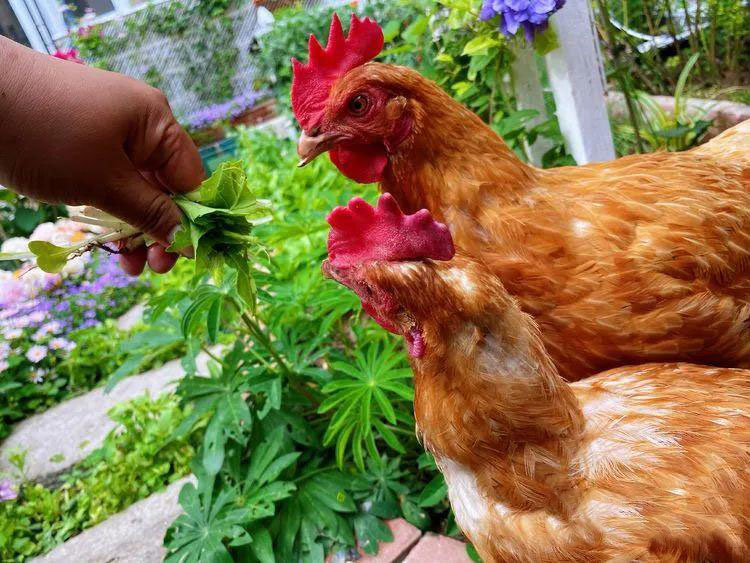 Từ bãi đất trống thành 