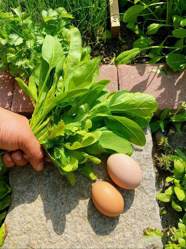 Từ bãi đất trống thành 