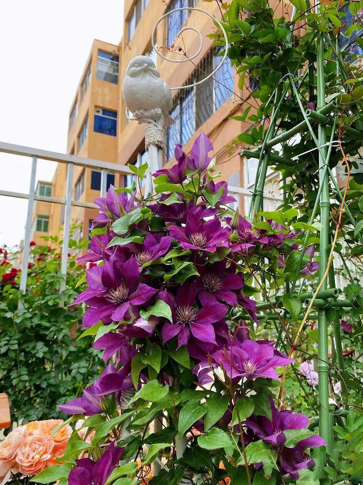 Từ bãi đất trống thành 