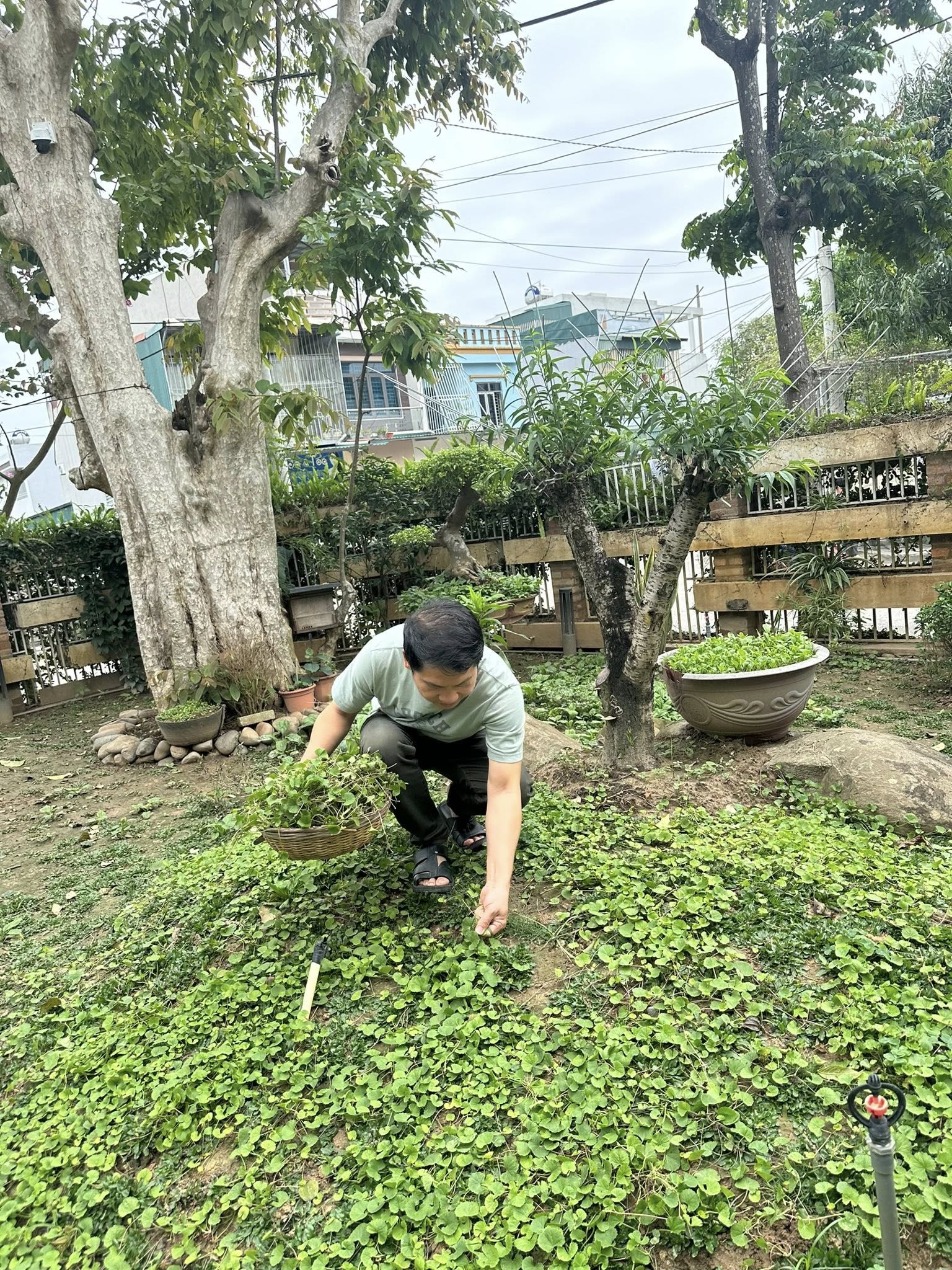Ca sĩ Trọng Tấn khoe Ca sĩ Trọng Tấn khoe