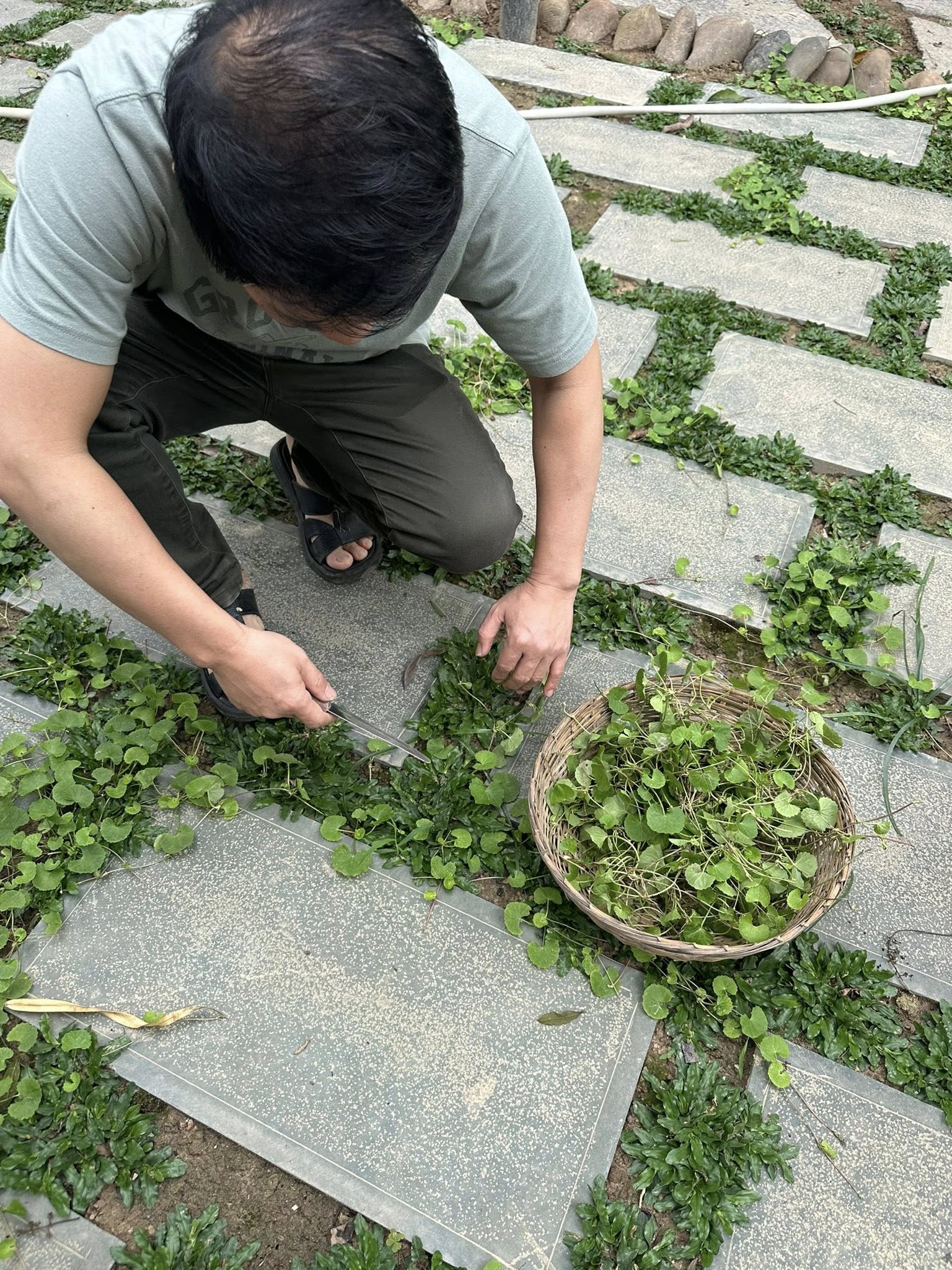Ca sĩ Trọng Tấn khoe Ca sĩ Trọng Tấn khoe
