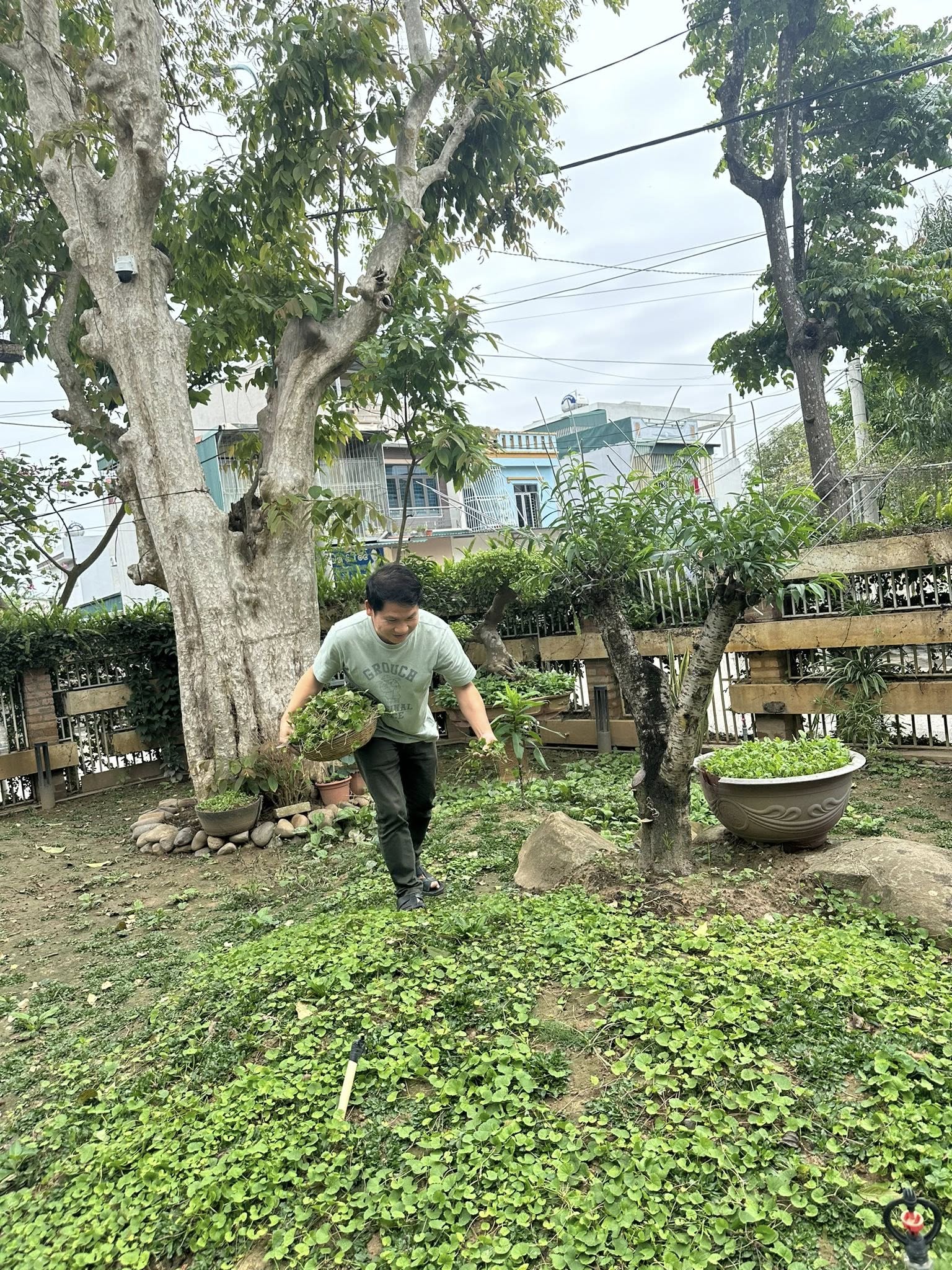 Ca sĩ Trọng Tấn khoe Ca sĩ Trọng Tấn khoe