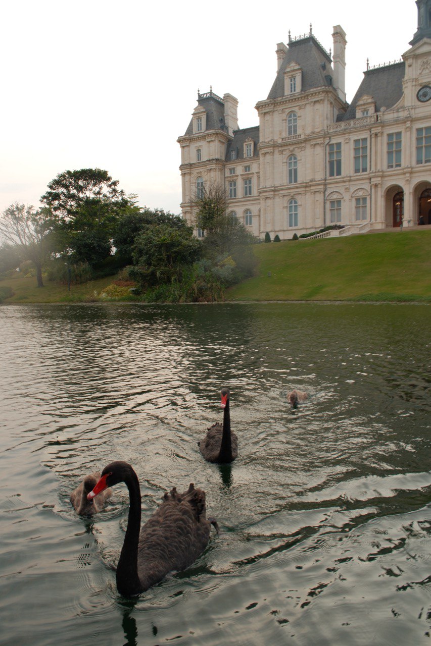 Trụ sở Huawei ở Quảng Đông: Châu Âu thu nhỏ, xịn như khu nghỉ dưỡng 5 sao, sức chứa lên tới 25.000 nhân viên- Ảnh 18.