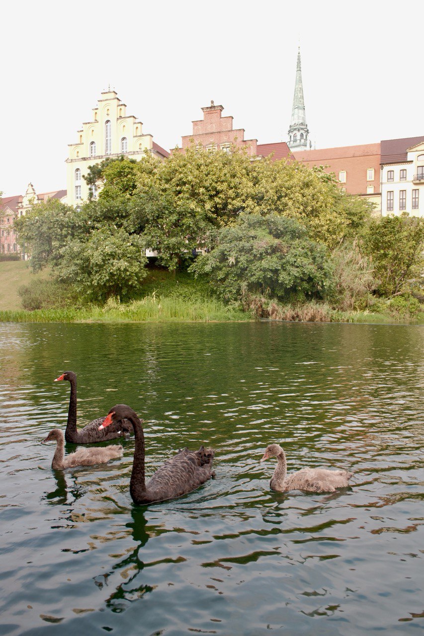 Trụ sở Huawei ở Quảng Đông: Châu Âu thu nhỏ, xịn như khu nghỉ dưỡng 5 sao, sức chứa lên tới 25.000 nhân viên- Ảnh 17.