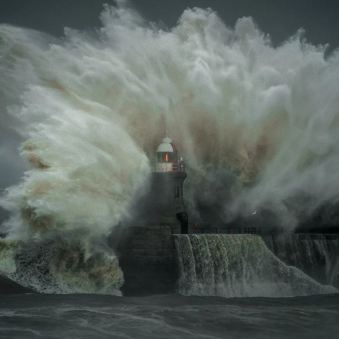 Dành 12 tiếng để chụp 4.000 bức ảnh ở biển, người đàn ông hãi hùng khi phóng to một tấm hình lên: “Chuyện gì đang xảy ra vậy?”- Ảnh 6.