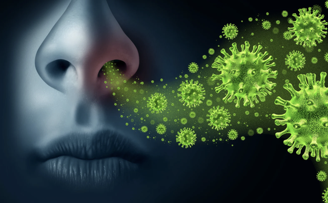 Bé gái ở Tây Ninh trở thành ca bệnh đặc biệt hiếm gặp sau khi tiếp xúc gà chết hàng loạt- Ảnh 1.