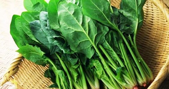 5 loại rau dễ "ngậm" thuốc trừ sâu nhất chợ, cái số 1 nhiều người thích mê- Ảnh 3. 5 loại rau dễ "ngậm" thuốc trừ sâu nhất chợ, cái số 1 nhiều người thích mê- Ảnh 3.