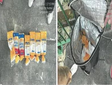 Cho chim bồ câu ăn, người phụ nữ 59 tuổi bị phạt gần 95 triệu đồng- Ảnh 2.