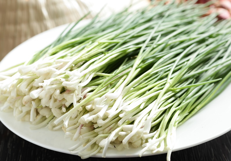 5 loại rau "không cần phun thuốc trừ sâu", nhất là cái số 1- Ảnh 2. 5 loại rau "không cần phun thuốc trừ sâu", nhất là cái số 1- Ảnh 2.