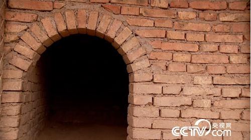 Giám đốc bỏ nhà máy cơ khí, chi hơn 106 tỷ đồng thuê 266 ha đất nuôi giống lợn lạ: 10 năm sau thu 35 tỷ/năm, chứng minh “kẻ thức thời mới là trang tuấn kiệt”- Ảnh 2.