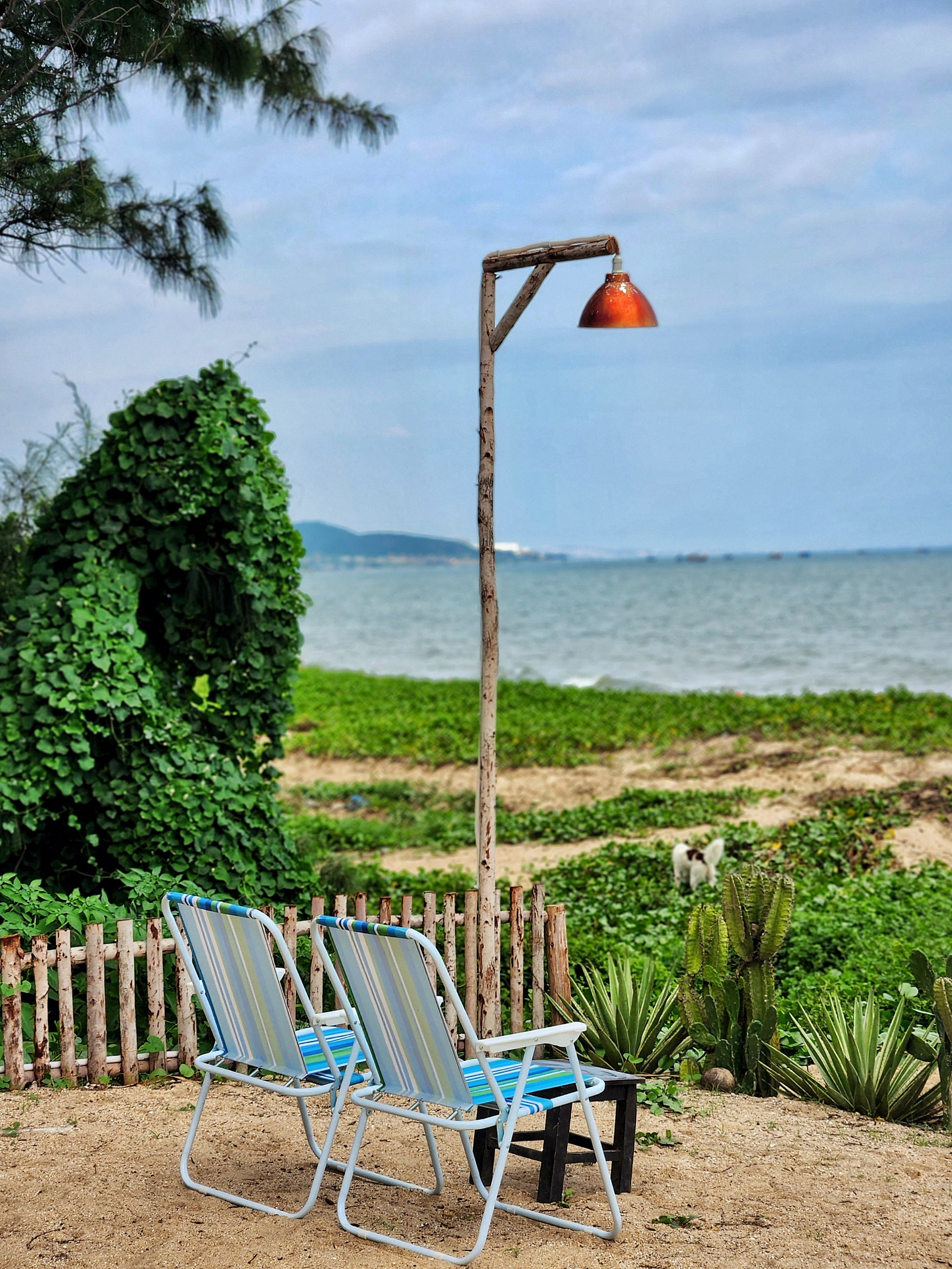 Vợ chồng trẻ từ bỏ lương cố định, rời phố về Phan Thiết: Sống chậm bên biển, tự quản lý tài chính, vất vả nhưng đáng- Ảnh 9.