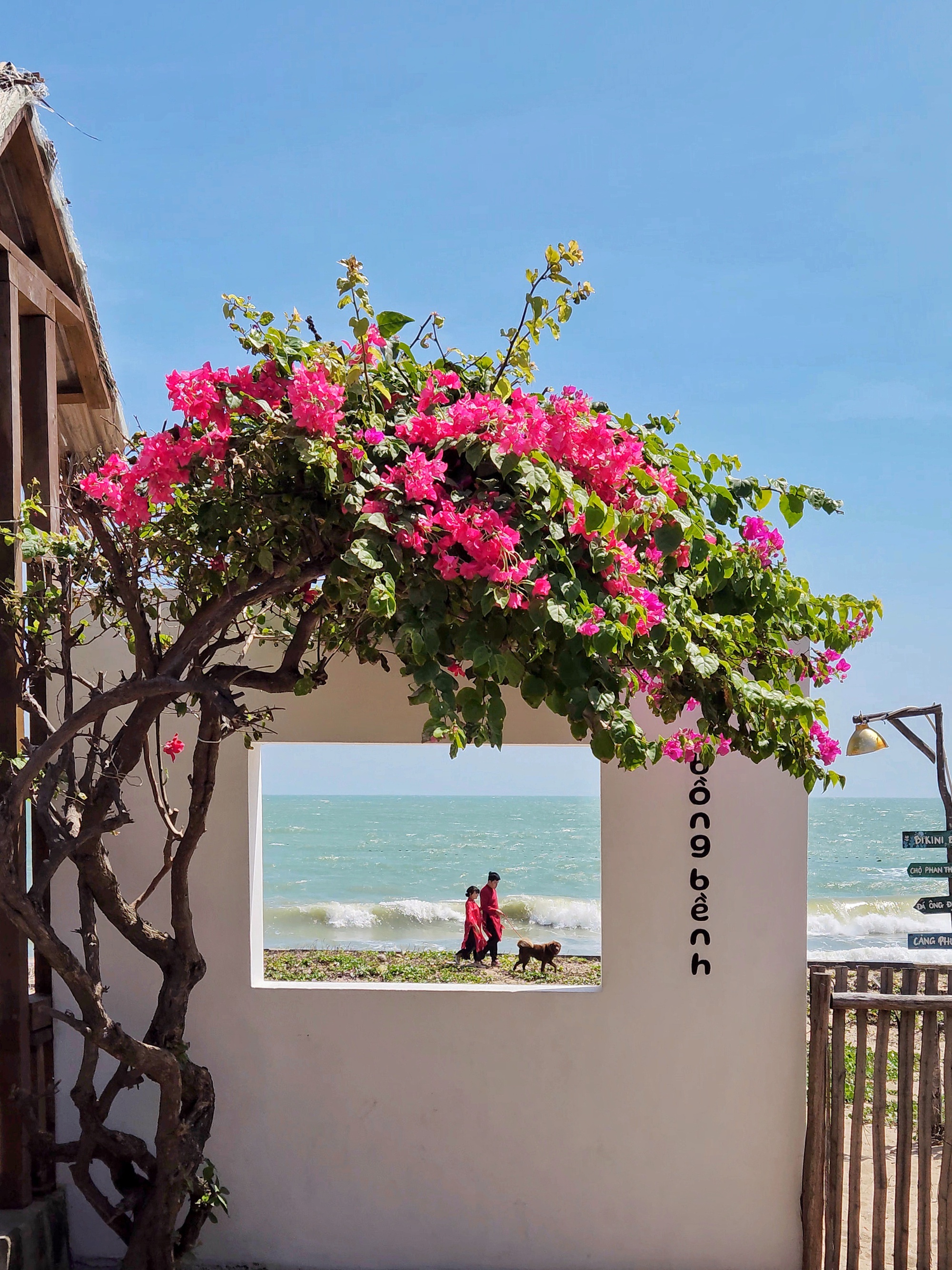 Vợ chồng trẻ từ bỏ lương cố định, rời phố về Phan Thiết: Sống chậm bên biển, tự quản lý tài chính, vất vả nhưng đáng- Ảnh 2.