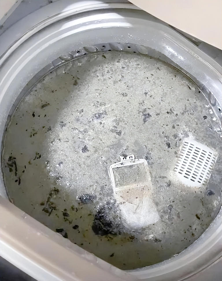 Khuyên thật: 5 thói quen sử dụng máy giặt khiến quần áo càng giặt càng bẩn, lồng giặt thành "ổ vi khuẩn" hại sức khỏe- Ảnh 1.