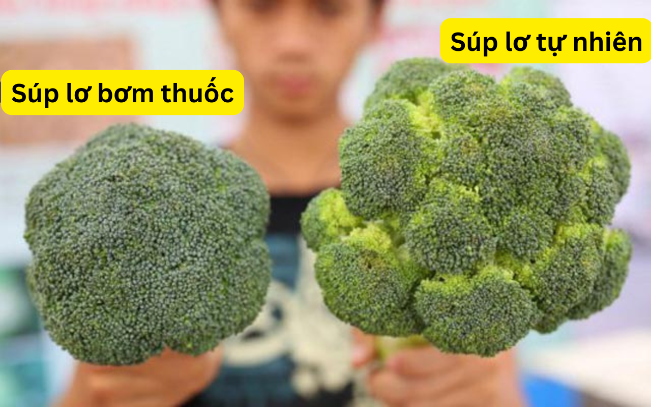 Chọn súp lơ ngon, bổ không khó: Nhìn mắt thường cũng biết loại là bị bơm thuốc độc hại- Ảnh 2.