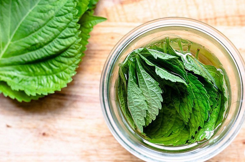 Việt Nam có 1 loại lá ăn thì cay nhưng lại giàu omega-3, giúp ổn định mỡ máu, chống tia UV như kem chống nắng tự nhiên- Ảnh 4.