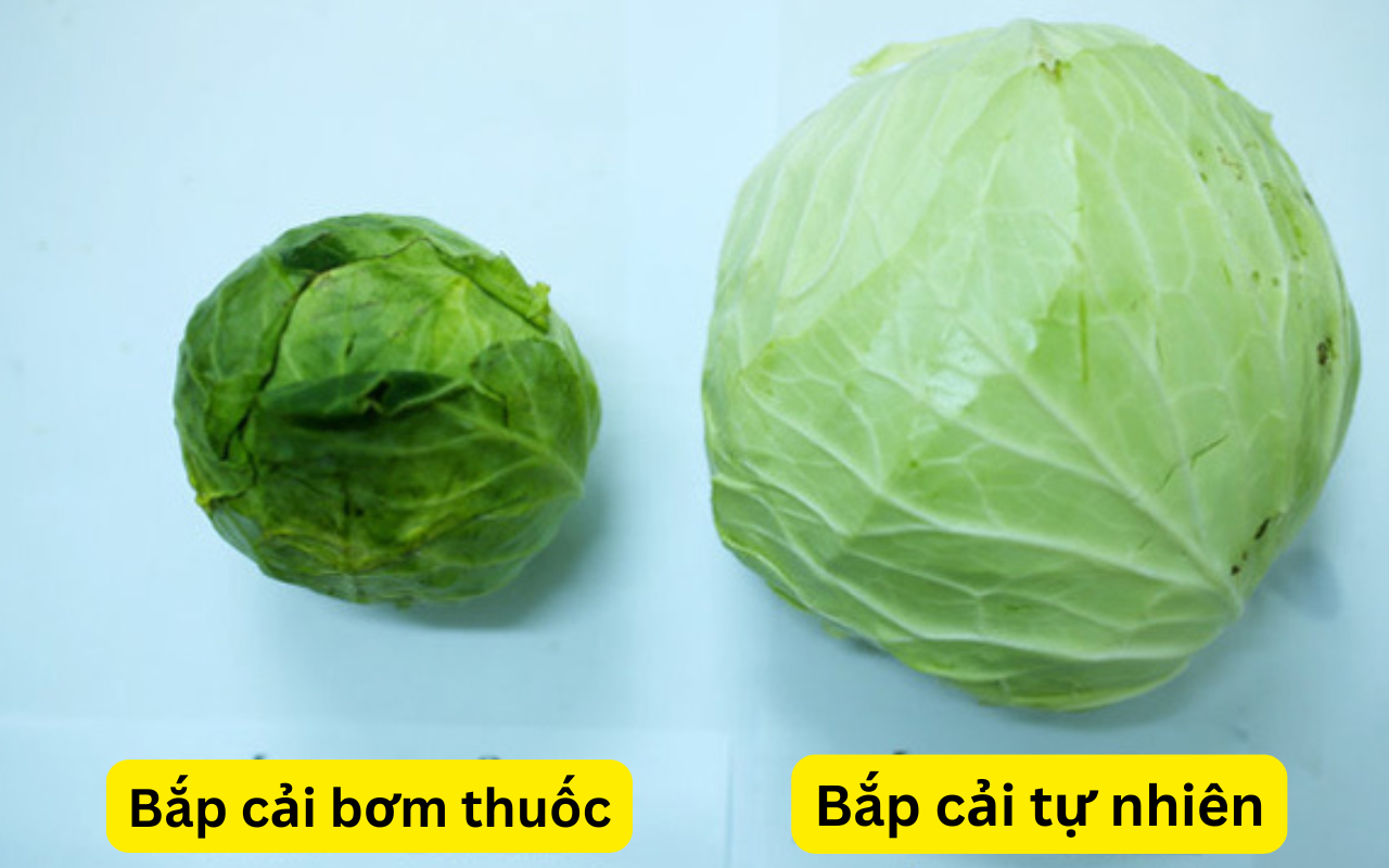 "Vua ngậm thuốc kích thích" gọi tên loại rau này, đi chợ mà ngố thì bạn toi đời!- Ảnh 4.