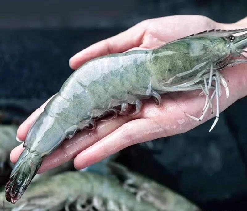 Khuyên thật: Khi làm 7 việc này nhất định phải đeo găng tay, nếu không thì 