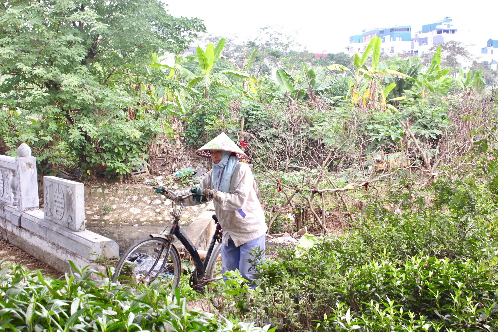 Hà Nội: Công viên nghìn tỷ dang dở, thành nơi trồng rau, đổ rác, tập lái ô tô- Ảnh 12.