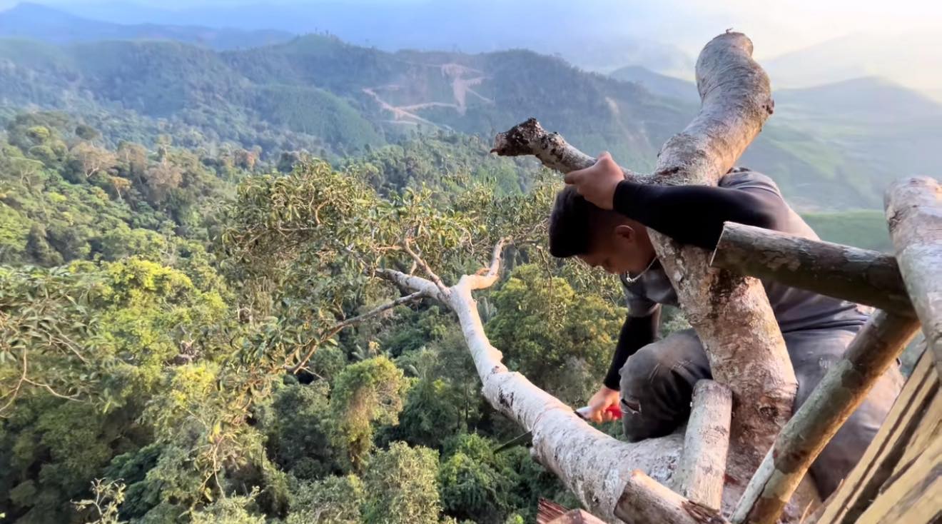 Chàng trai Đắk Lắk làm nhà trên cây cổ thụ cao 50 mét, hàng nghìn người theo dõi quá trình- Ảnh 1.