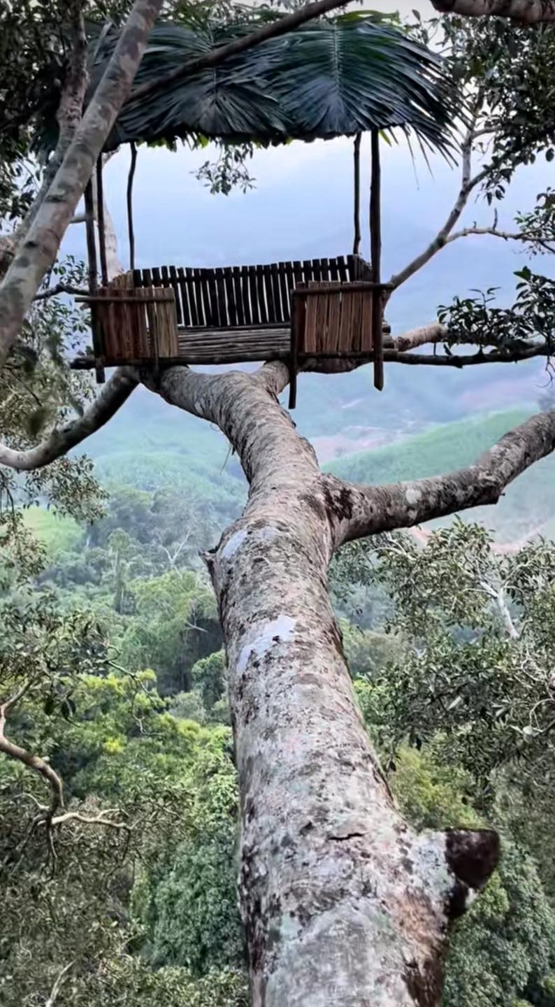Chàng trai Đắk Lắk làm nhà trên cây cổ thụ cao 50 mét, hàng nghìn người theo dõi quá trình- Ảnh 3.