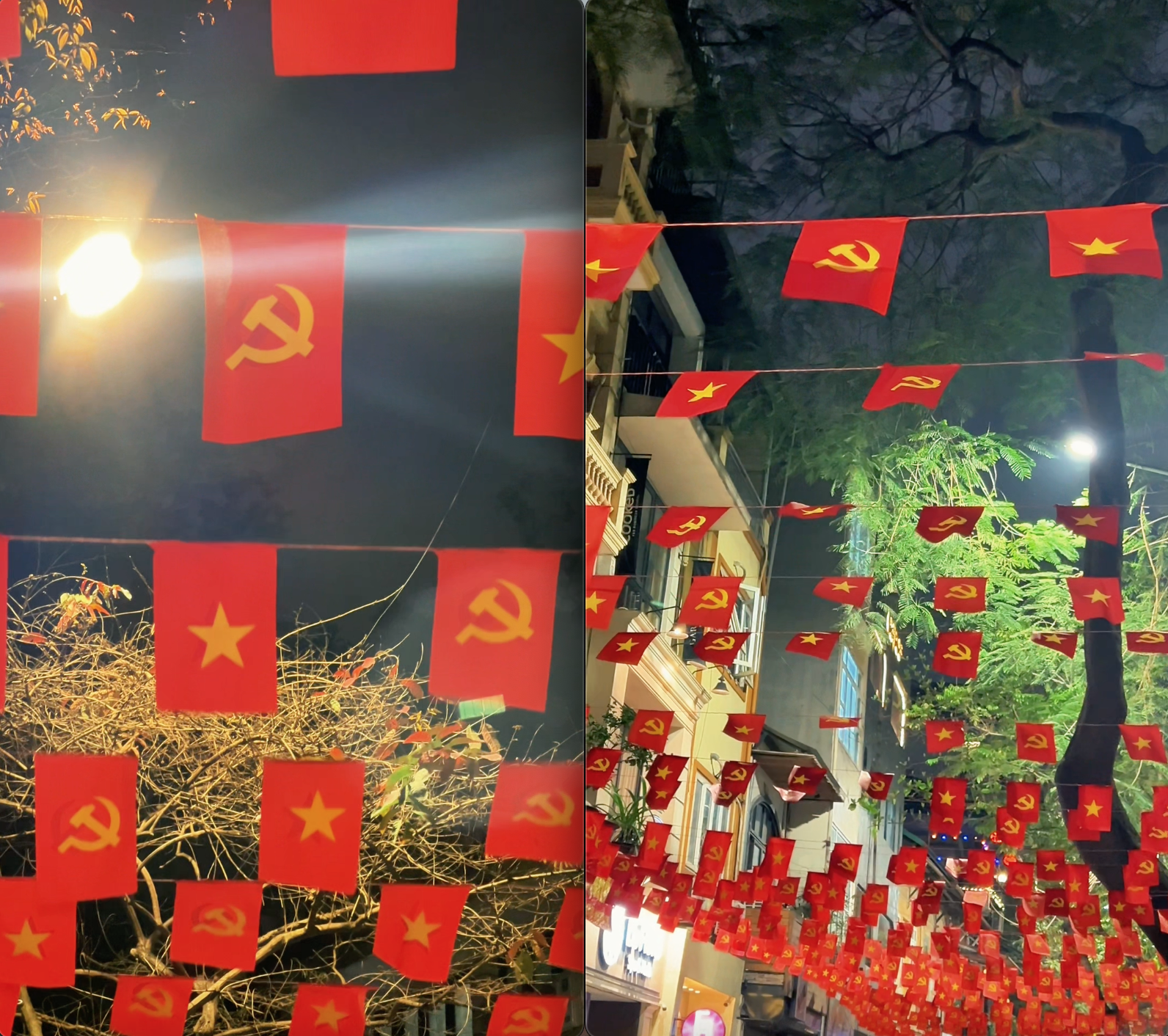 Con phố "hot nhất Hà Nội" đang hút giới trẻ rần rần kéo đến chụp ảnh: "Sống ảo" nhưng đừng quên điều này!- Ảnh 2.