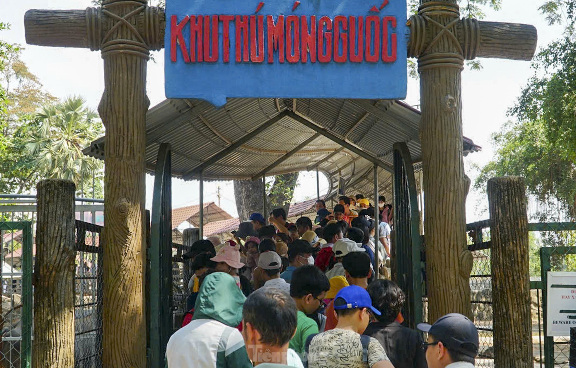 Biển người đội nắng đổ về Thảo Cầm Viên- Ảnh 10.