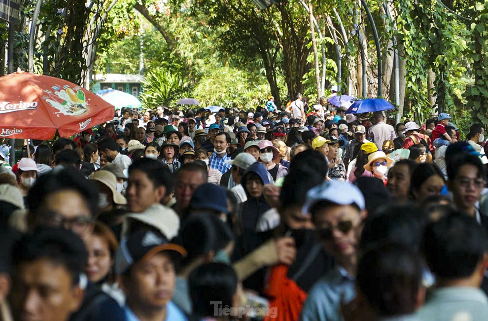 Biển người đội nắng đổ về Thảo Cầm Viên- Ảnh 1.
