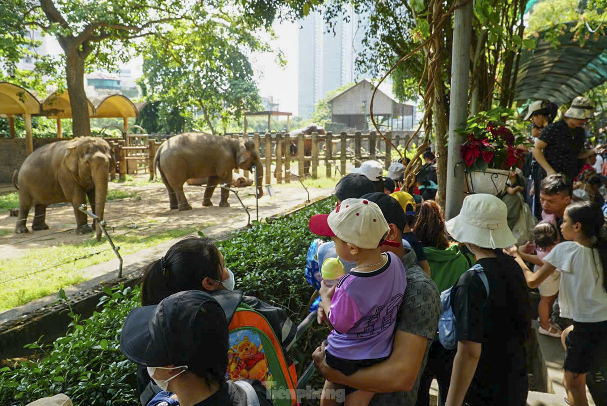 Biển người đội nắng đổ về Thảo Cầm Viên- Ảnh 9.