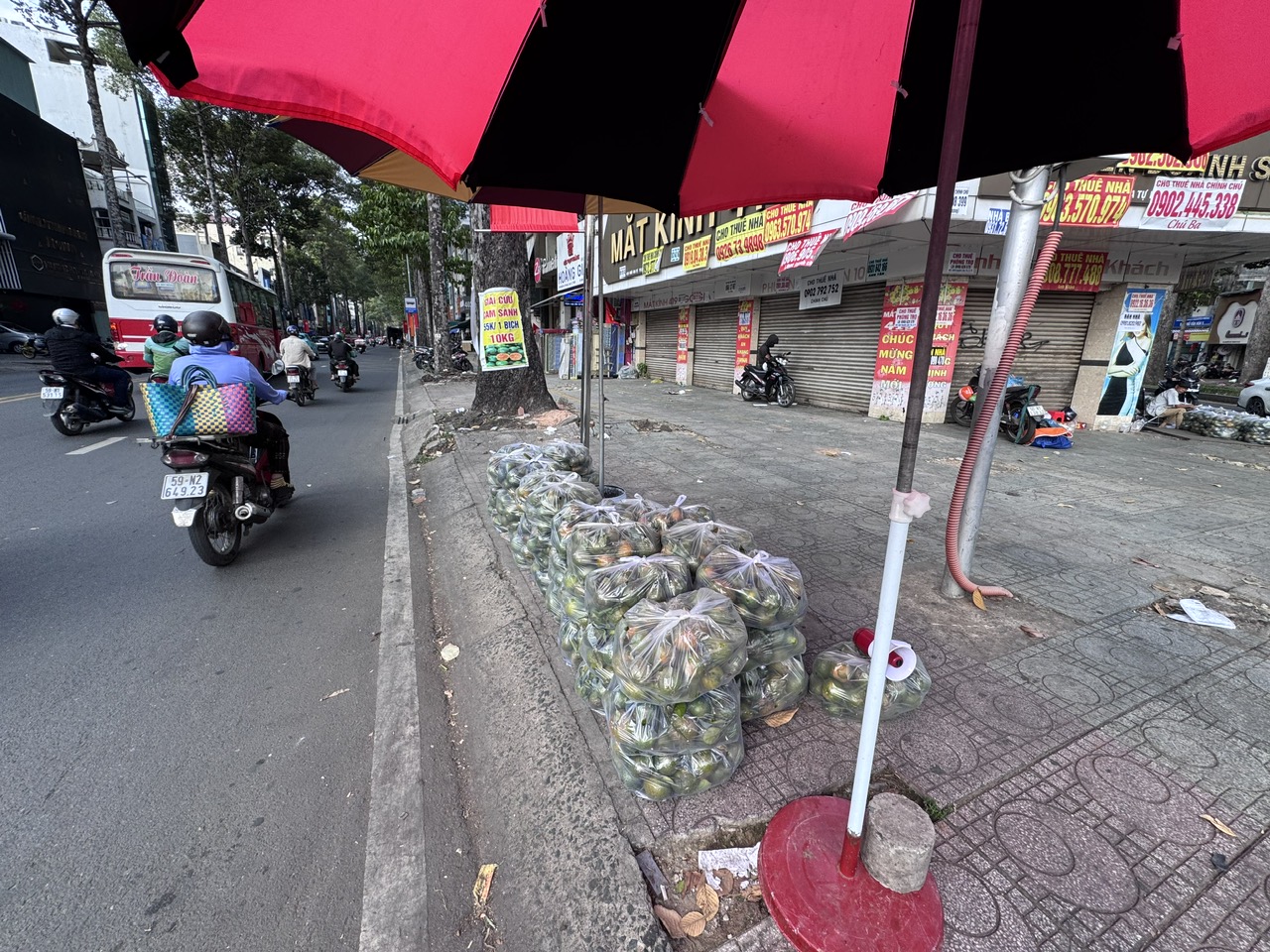 Nắng nóng, cam sành "giải cứu" tăng giá- Ảnh 1. Nắng nóng, cam sành "giải cứu" tăng giá- Ảnh 1.
