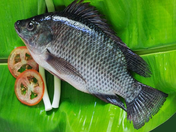 Việt Nam rộng đường trong ngành kinh tế chục tỷ USD, rất "được lòng" người Mỹ- Ảnh 1. Việt Nam rộng đường trong ngành kinh tế chục tỷ USD, rất "được lòng" người Mỹ- Ảnh 1.