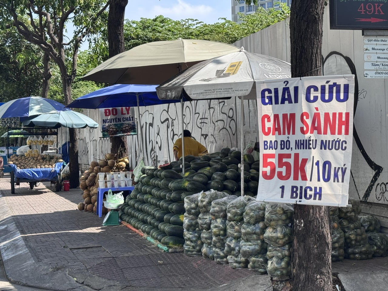 Nắng nóng, cam sành "giải cứu" tăng giá- Ảnh 3. Nắng nóng, cam sành "giải cứu" tăng giá- Ảnh 3.