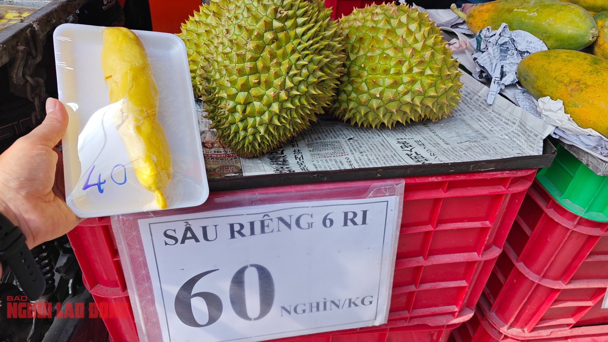 Sầu riêng loạn giá, xuất khẩu giảm sâu- Ảnh 3. Sầu riêng loạn giá, xuất khẩu giảm sâu- Ảnh 3.
